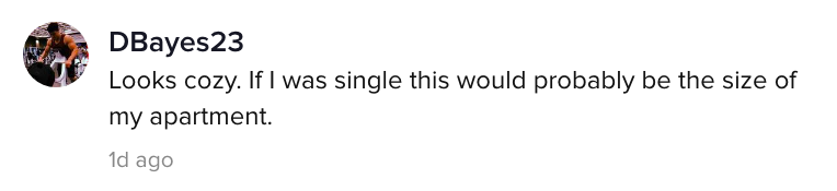 A TikTok comment.