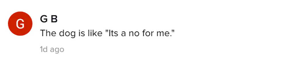 A TikTok comment.