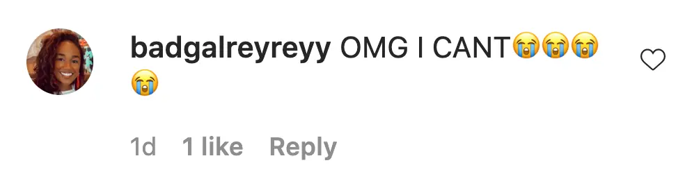 An Instagram comment. 