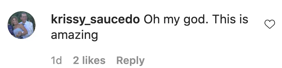 An Instagram comment. 