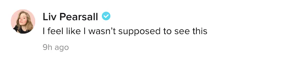 A TikTok comment.