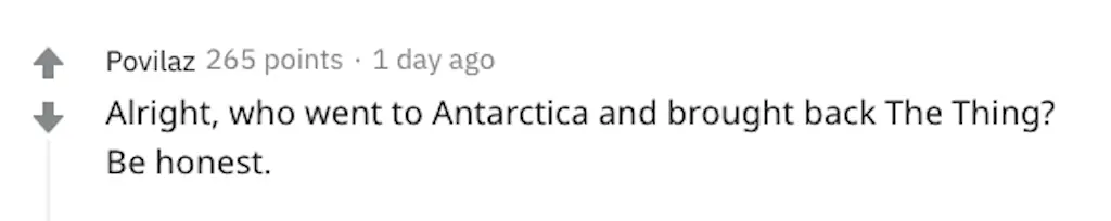 A Reddit comment.