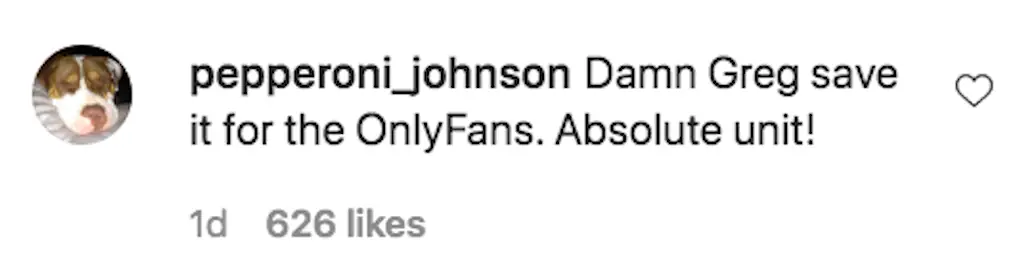 An Instagram comment.