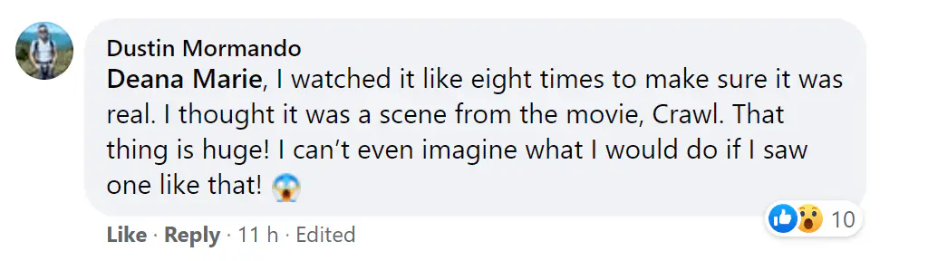 A Facebook comment. 