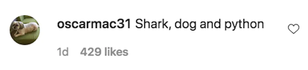 An Instagram comment.