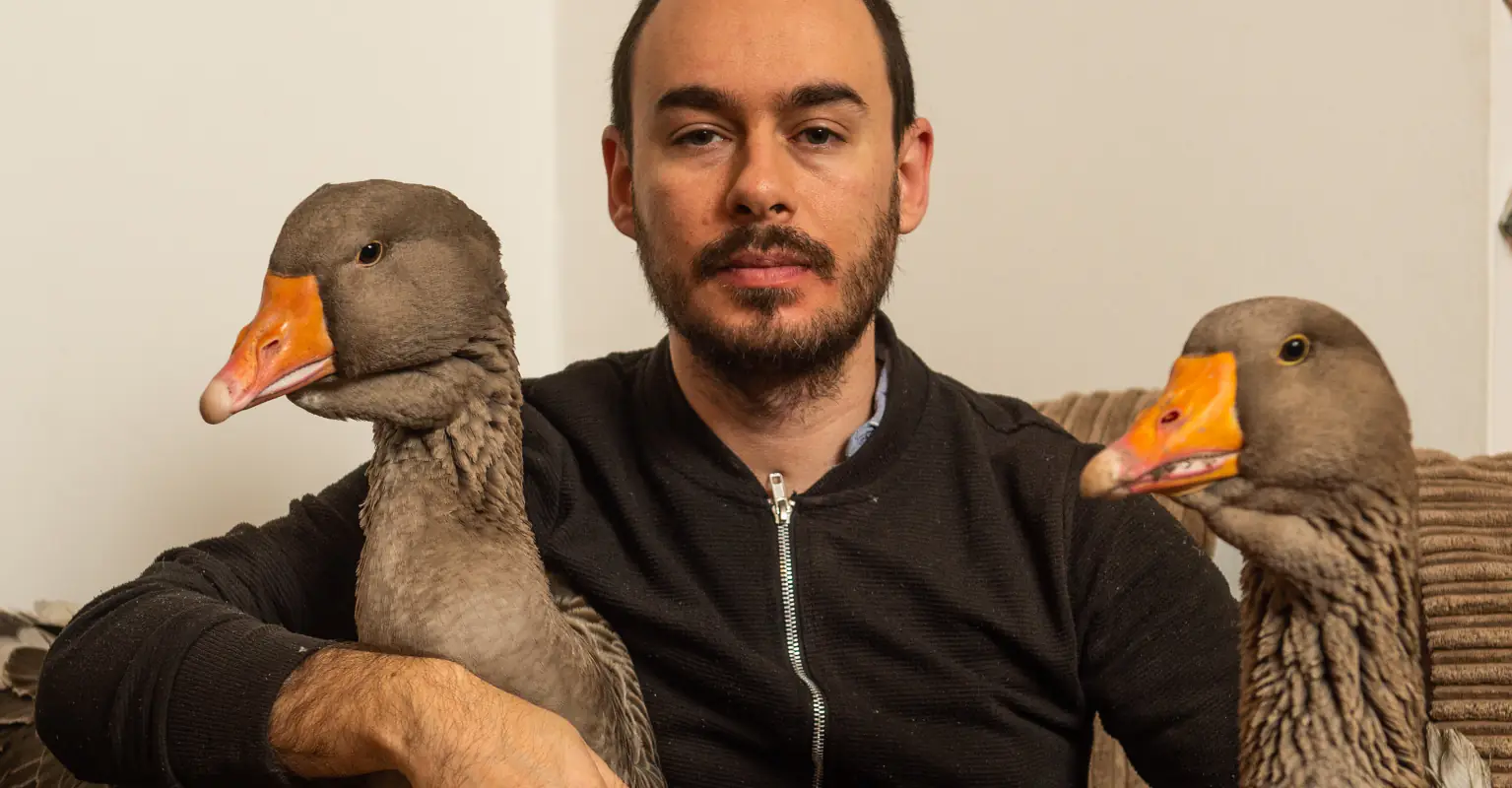 Man who bought geese as company for lockdown faces losing them for good - because of their constant honking