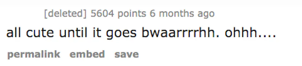 A Reddit comment.