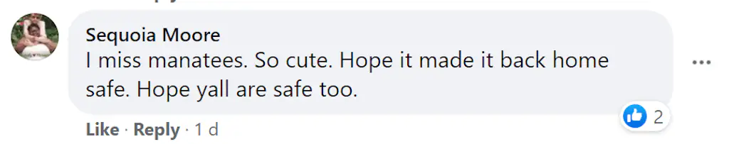 A Facebook comment. 