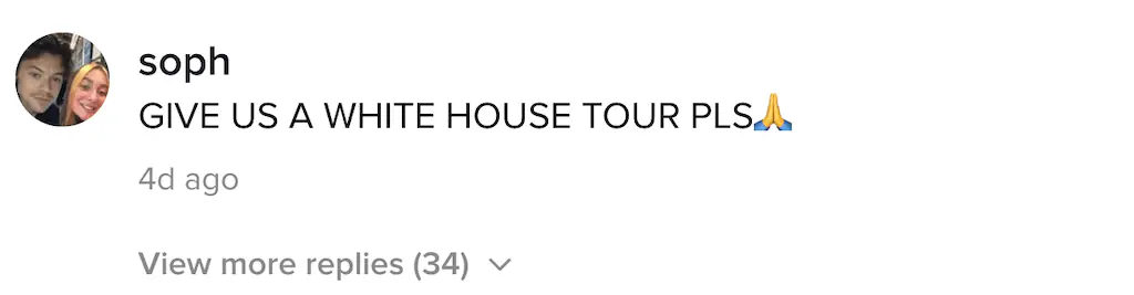 A TikTok comment.