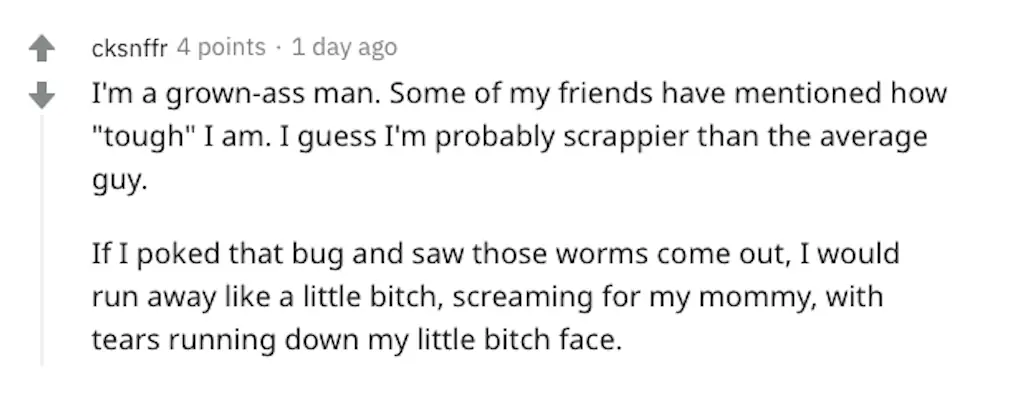 A Reddit comment.