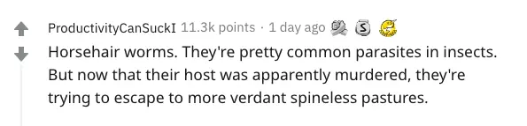 A Reddit comment.