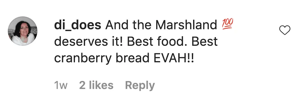An Instagram comment.