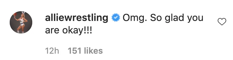 An Instagram comment.