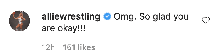 An Instagram comment.