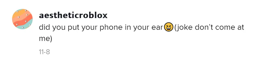 A TikTok comment