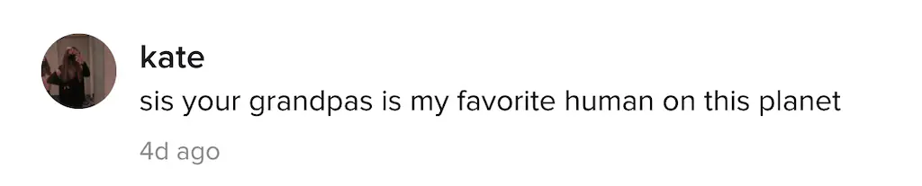 A TikTok comment.