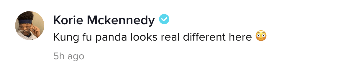 A TikTok comment.