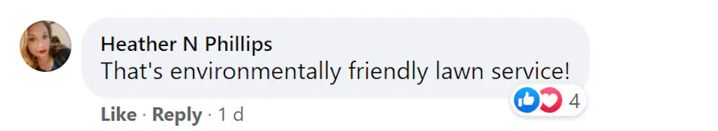 A Facebook comment.