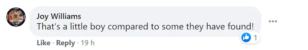 A Facebook comment. 