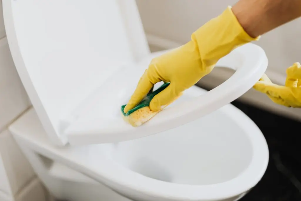 A toilet seat being cleaned