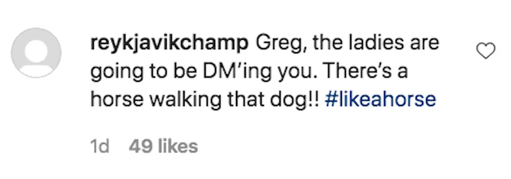 An Instagram comment.