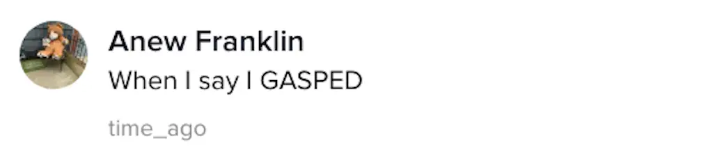 A TikTok comment.
