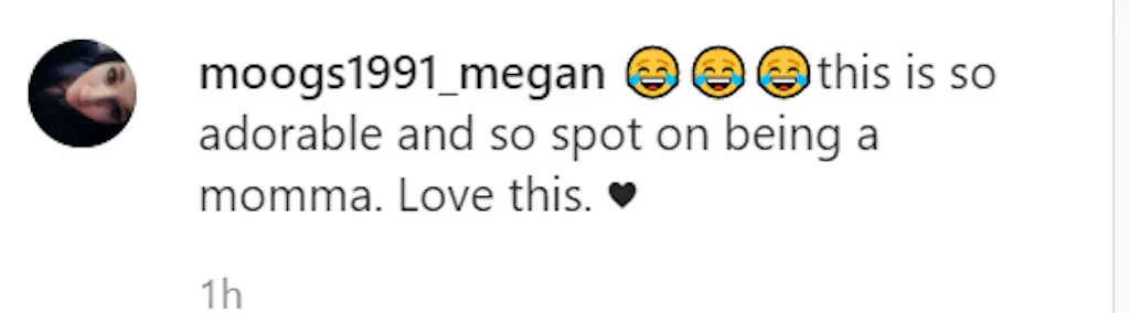 an Instagram comment