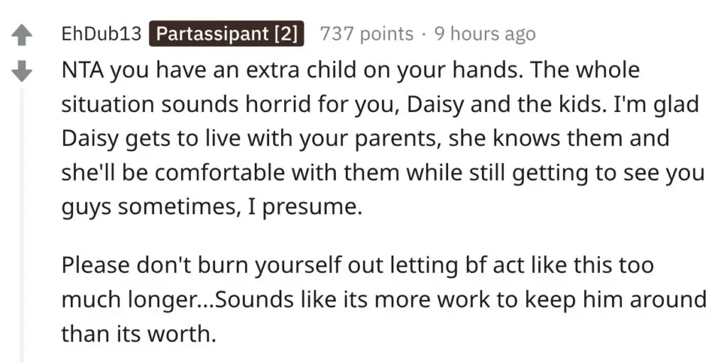 A Reddit comment.