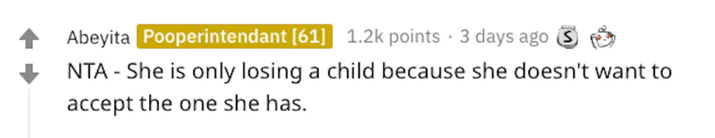 A Reddit comment.