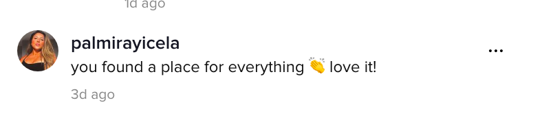 A TikTok comment.