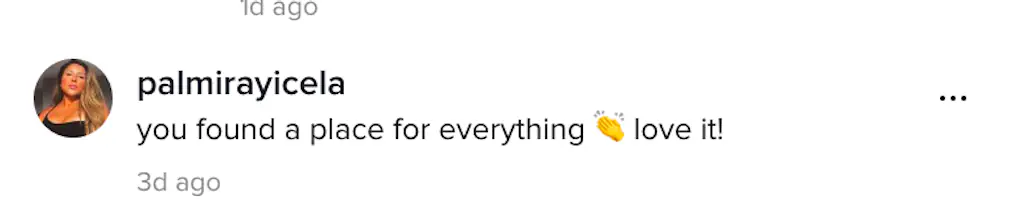 A TikTok comment.
