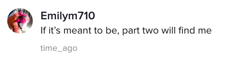 A TikTok comment.