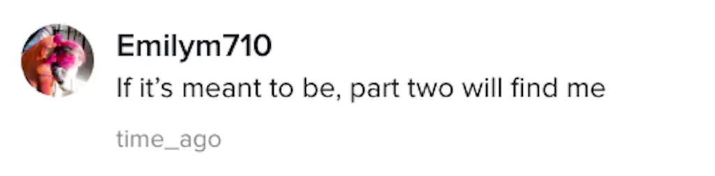 A TikTok comment.