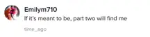 A TikTok comment.