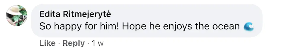 A Facebook comment.