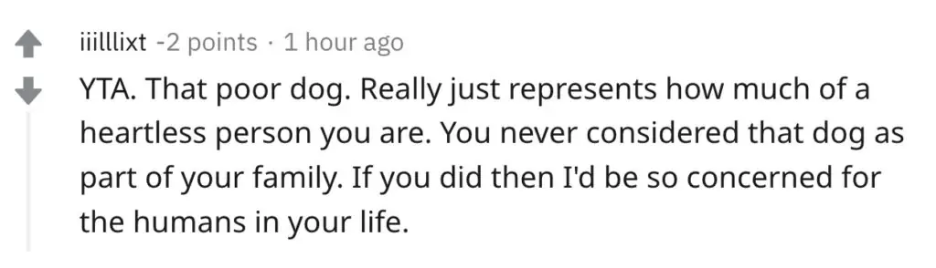A Reddit comment.