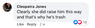 A Facebook comment.