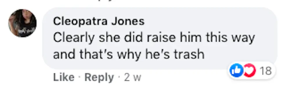 A Facebook comment.