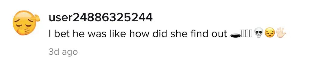 A TikTok comment. 