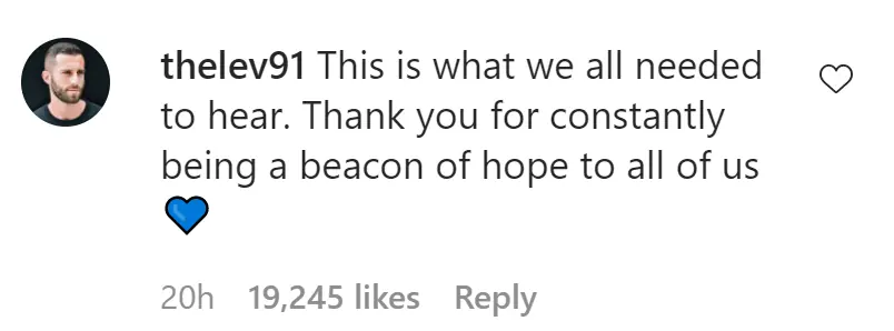 An Instagram comment.