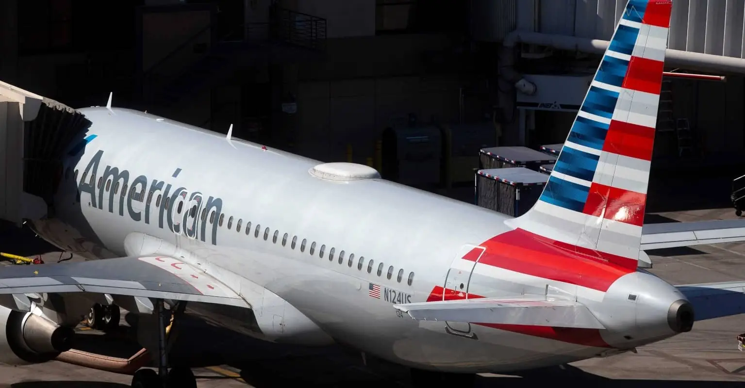Woman left devastated after American Airlines lost track of her 2 cats on a flight