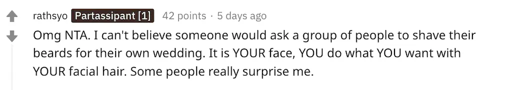 A Reddit comment.