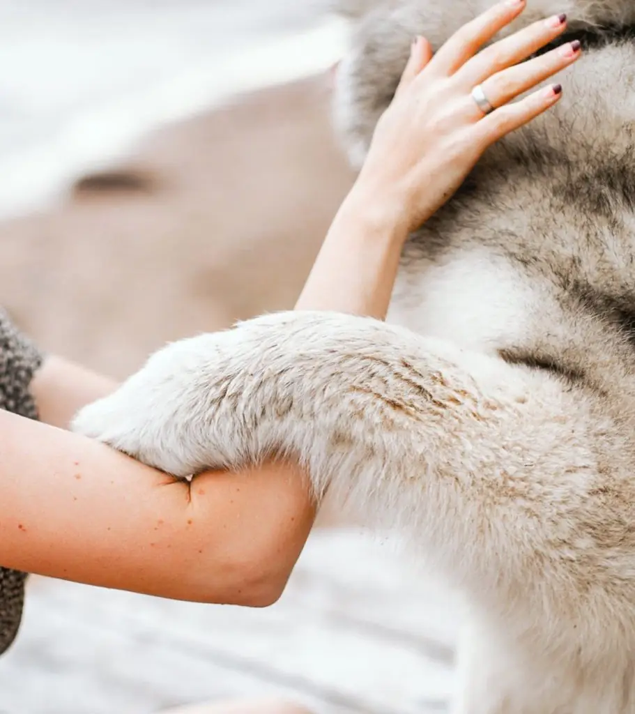 A woman hugging a dog.