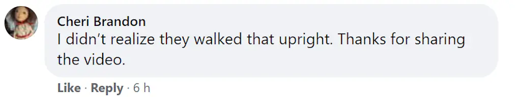 A Facebook comment. 