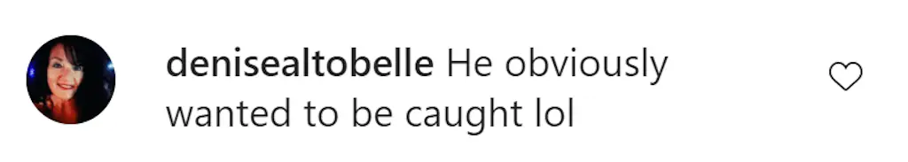 An Instagram comment.