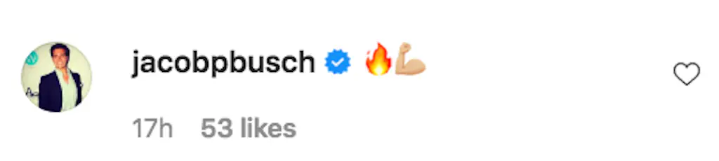 An Instagram comment.