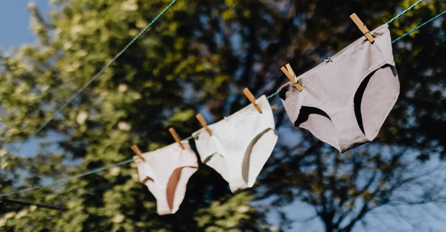An image of underwear hanging on a washing line.