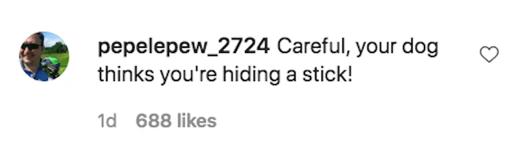 An Instagram comment.