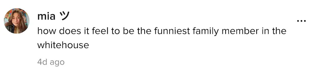 A TikTok comment.