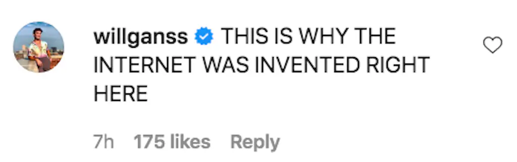 An Instagram comment.